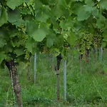 Hotell Engel Endingen am Kaiserstuhl