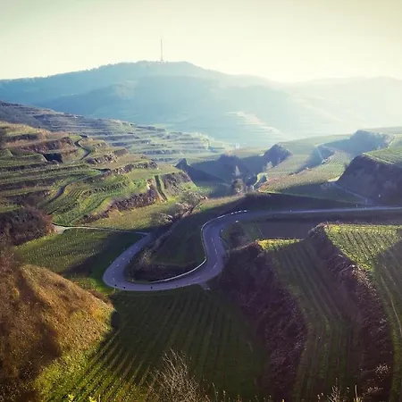 Hotell Engel Endingen am Kaiserstuhl