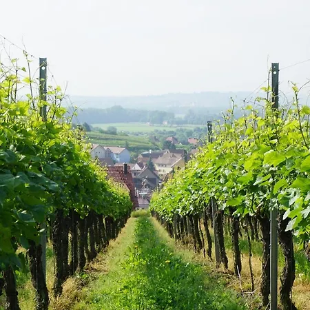 Engel Endingen am Kaiserstuhl