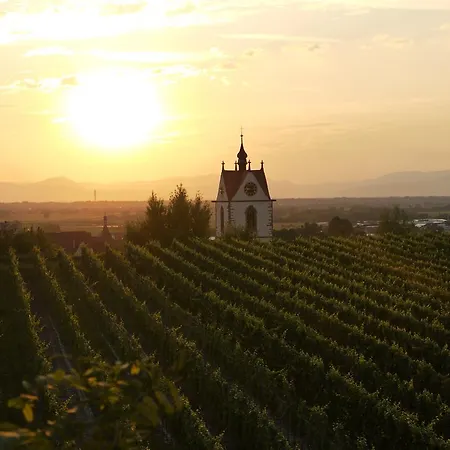 Hotel Engel Endingen am Kaiserstuhl