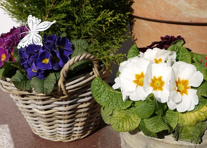 Engel Ξενοδοχείο 2*