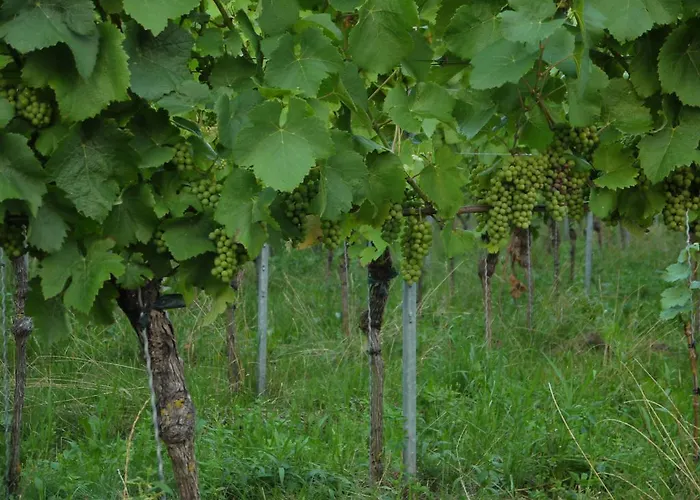 Ξενοδοχείο Engel Endingen am Kaiserstuhl